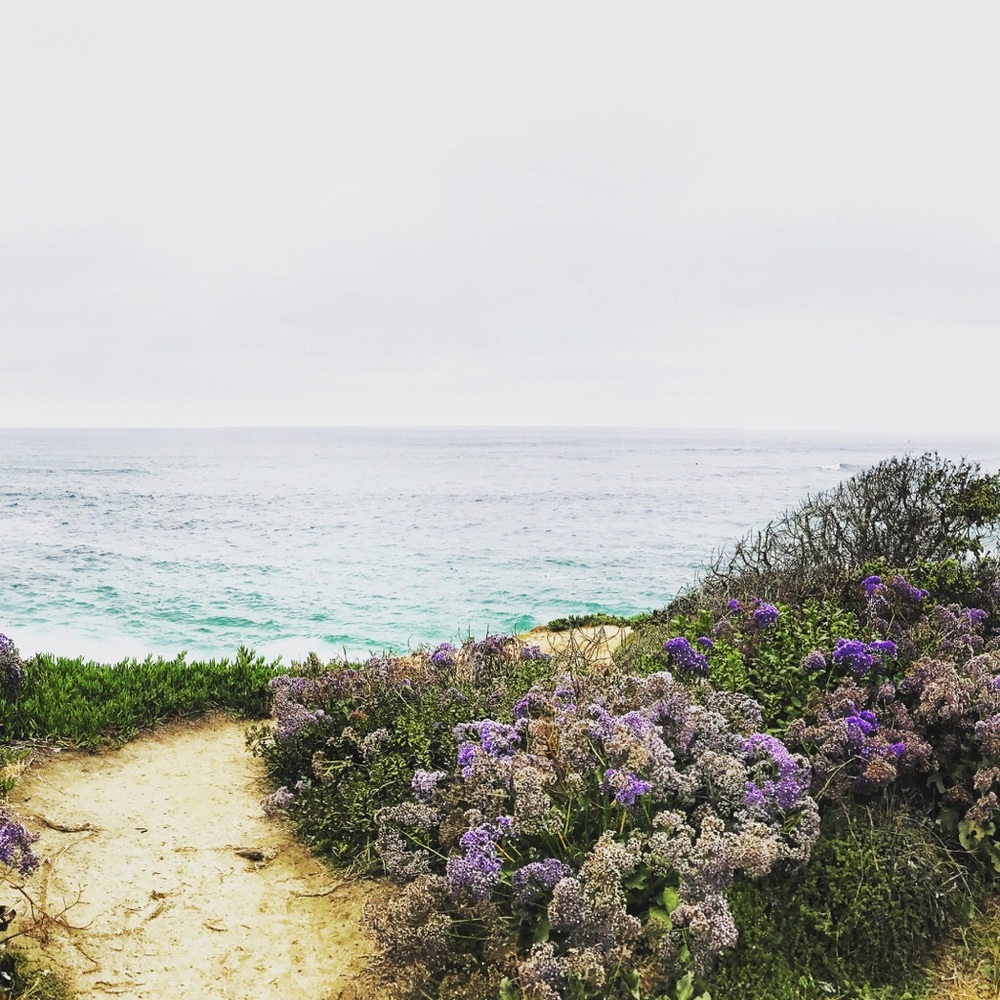 Meet your Posher, Erik